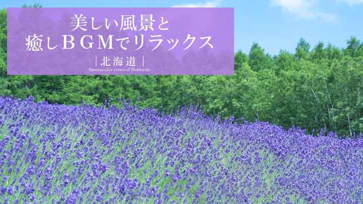 Hokkaido Wilderness: 3.5-Hour 4K Nature Healing Scenery for Focus